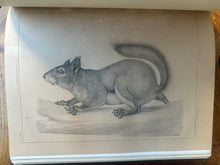 Load image into Gallery viewer, Pacific Railroad Surveys, Vol. XII, Book II (1860)