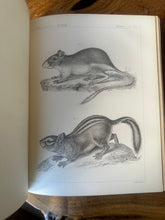 Load image into Gallery viewer, Pacific Railroad Surveys, Vol. XII, Book II (1860)