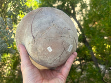 Load image into Gallery viewer, Hohokam Bird Effigy Bowl (1100-1300AD)