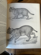 Load image into Gallery viewer, Pacific Railroad Surveys, Vol. XII, Book II (1860)