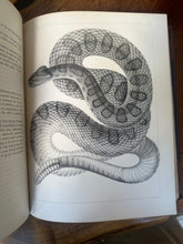 Load image into Gallery viewer, Pacific Railroad Surveys, Vol. XII, Book II (1860)