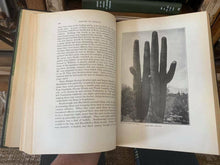 Load image into Gallery viewer, History of Arizona (Adams, 1930, First Edition Complete Set Volume I-IV)