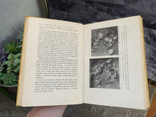 Load image into Gallery viewer, Digging In The Southwest by Ann Axtell Morris (First Edition, 1933)