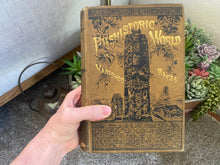Load image into Gallery viewer, The Prehistoric World Or The Vanished Races (First Edition) EA Allen 1885