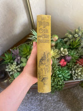 Load image into Gallery viewer, In The Land Of The Cave And Cliff Dweller (1893, First Edition)