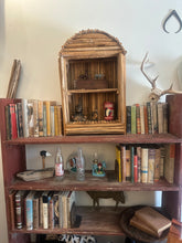 Load image into Gallery viewer, Original Custom Arizona Saguaro Book Shelf / Curio Display
