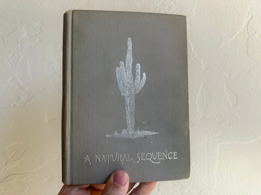 Natural Sequences by Janie C Michaels (1st Edition, 1895)