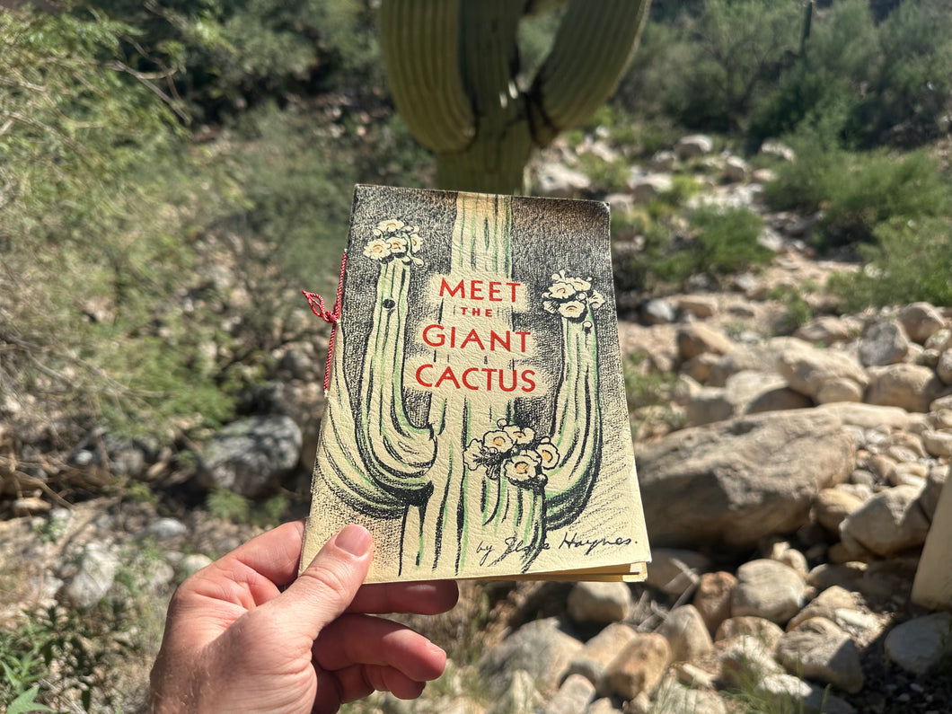 Meet The Giant Cactus (1950)