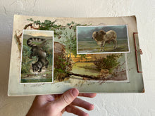 Load image into Gallery viewer, Arbuckles Album of Illustrated Natural History

