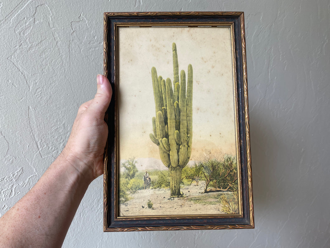 1930s Hand Tinted Framed Giant Saguaro