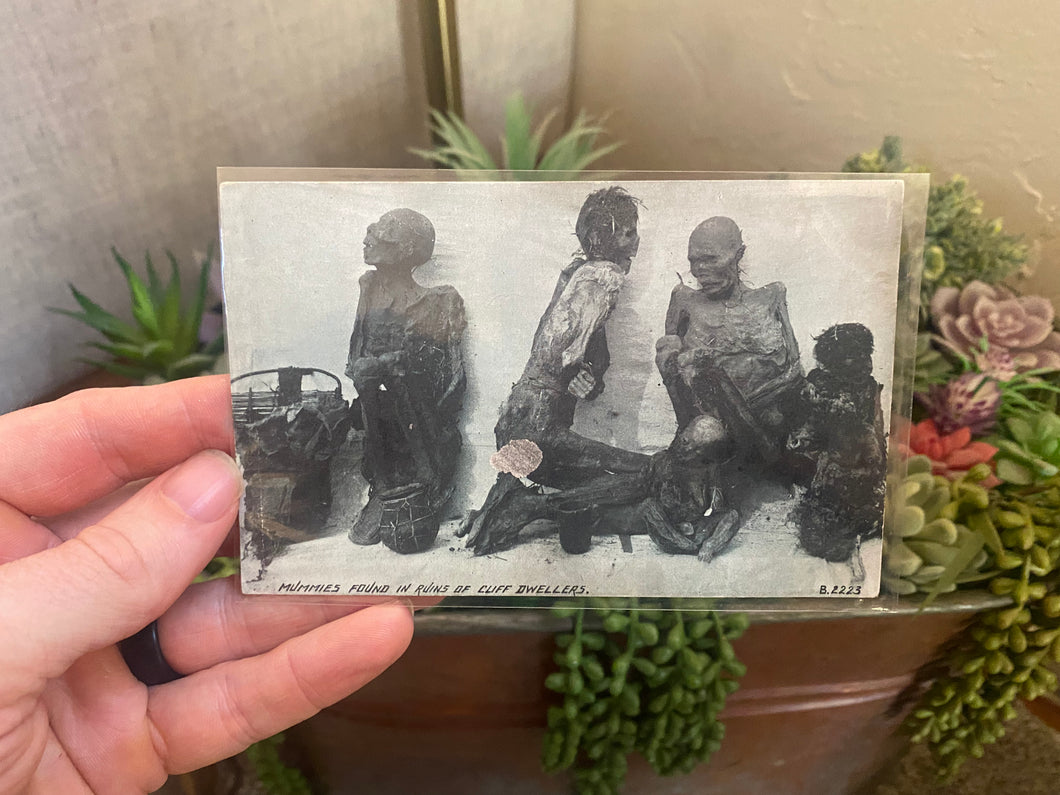 Cliff Dweller Mummy Postcard (1930s)