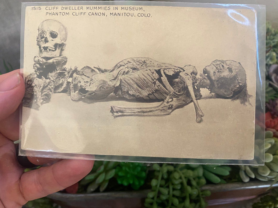 Cliff Dweller Mummies RPPC Manitou, CO Museum