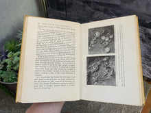 Load image into Gallery viewer, Digging In The Southwest by Ann Axtell Morris (First Edition, 1933)

