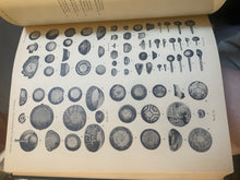 Load image into Gallery viewer, Archaeological Studies in the La Plata District (Earl Morris, First Edition, 1939)
