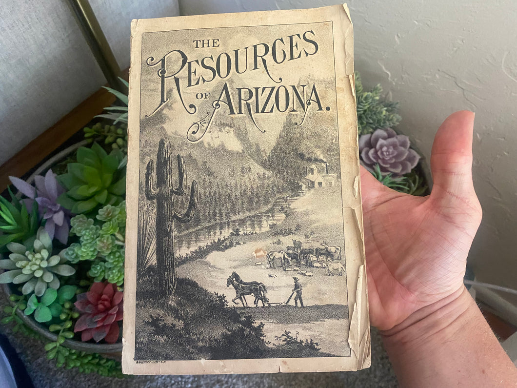 Arizona Resources (1883, Patrick Hamilton) Rare